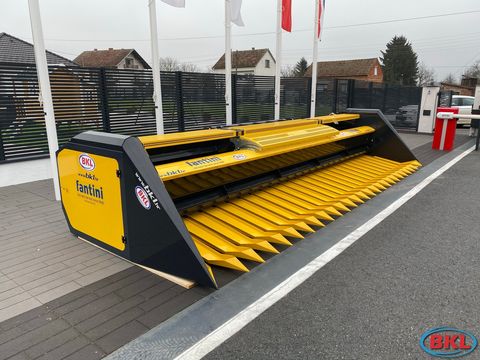 Fantini GP - Reihenunabhängiger Sonnenblumenpflücker