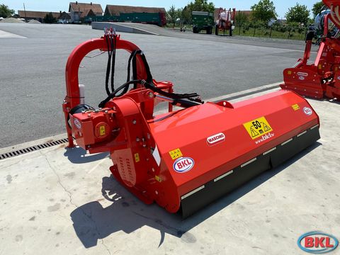 Maschio