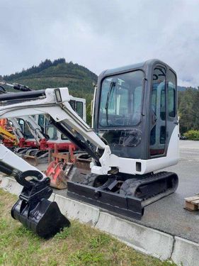 Bobcat Bobcat