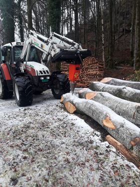 Lavrach Forsttechnik Kegelspalter mit Euroaufnah
