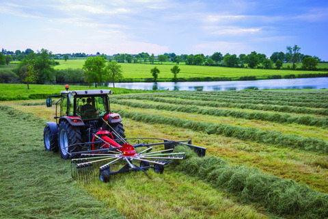 MASSEY FERGUSON  842 SD TRC Rendsodró, KÉSZLETEN 2