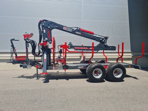 Beha RW T710 / 7050 Kran 