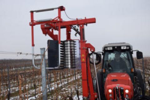 Sattler Rebvorschneider 2