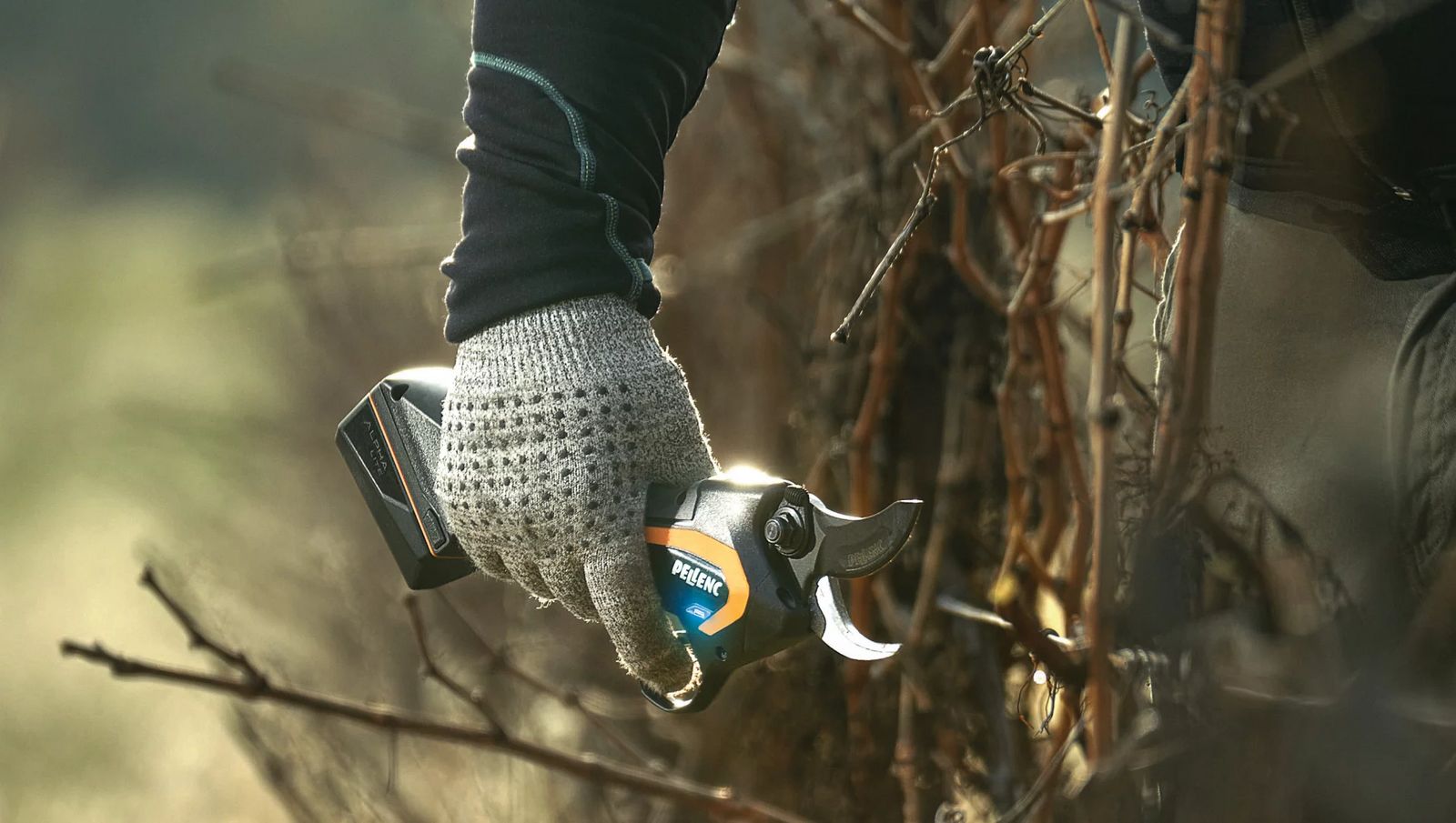 Pellenc Elektronische Rebschere 2