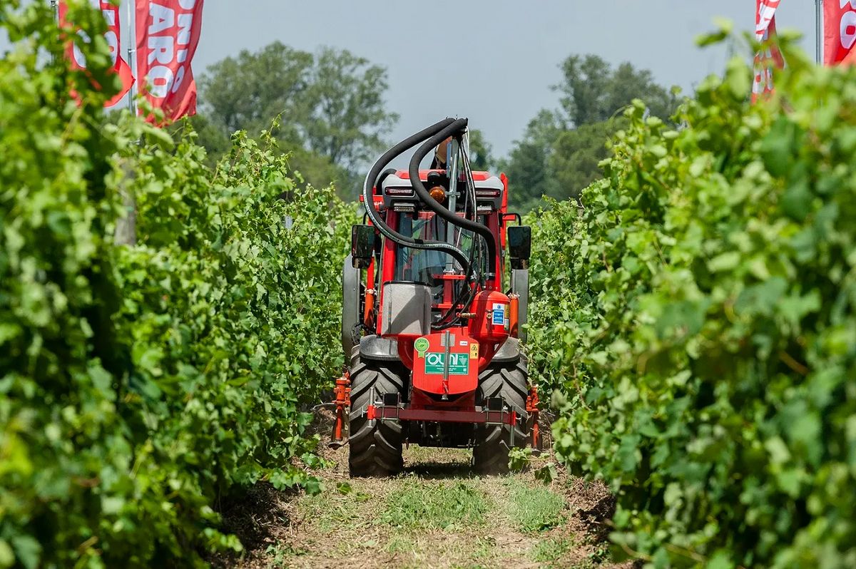 Olmi Laubbläser 470F 2