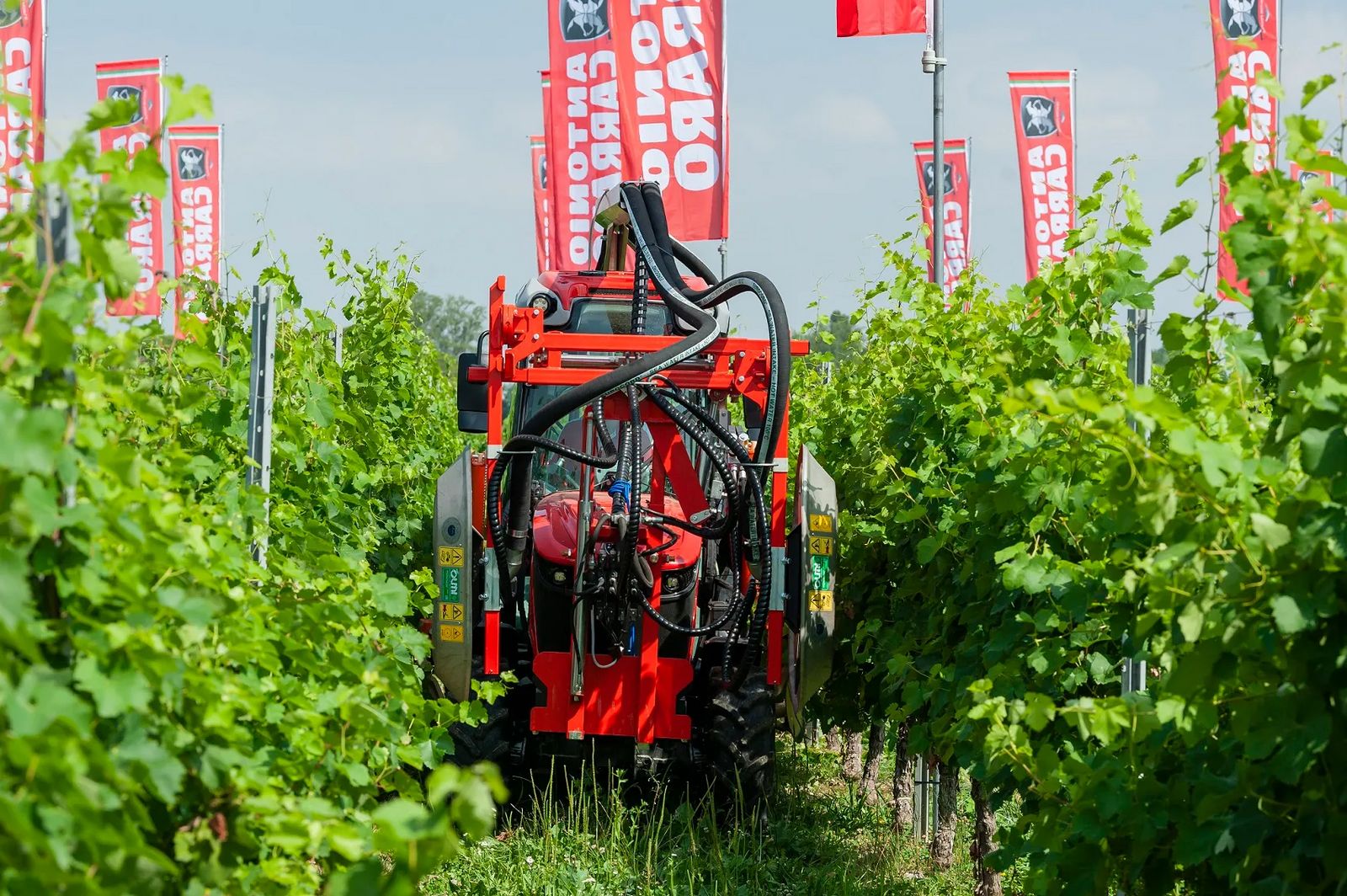 Olmi Laubbläser 470F 3