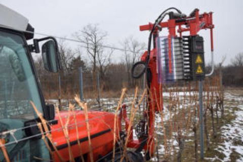 Sattler Rebvorschneider 3