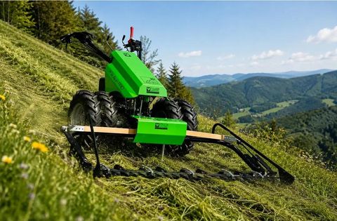 Sonstige Motormäher Alpin Pro Muta