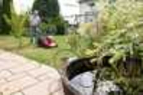 Herkules Vertikutierer 2