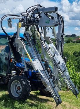 Sonstige Olmi Laubhefter