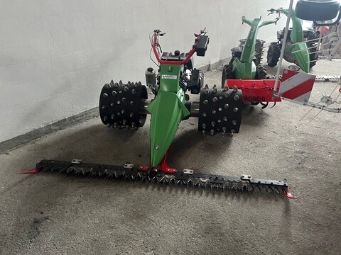 Rapid M161