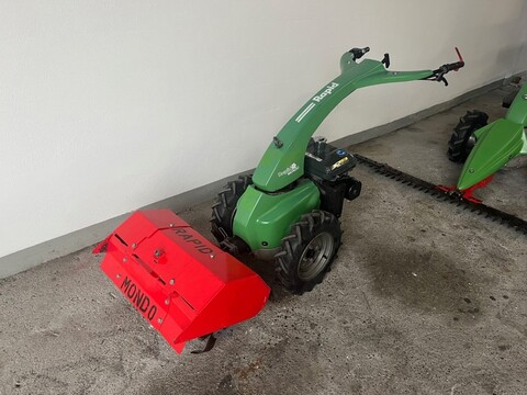 Rapid Mondo