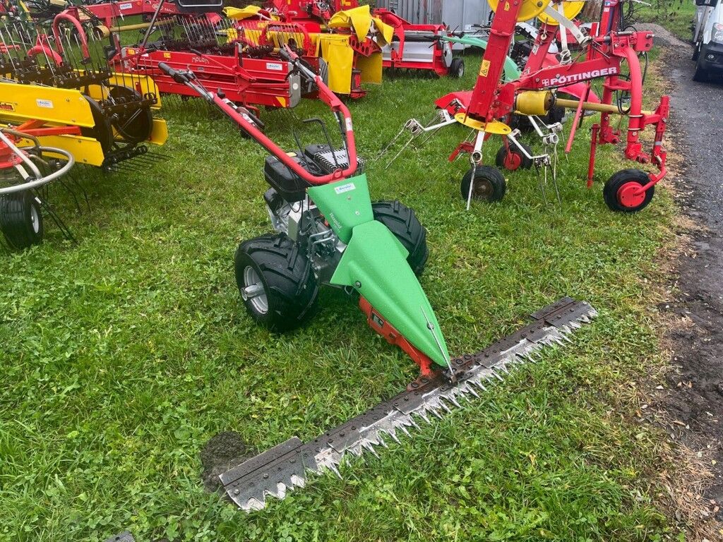 Rapid Swiss 2