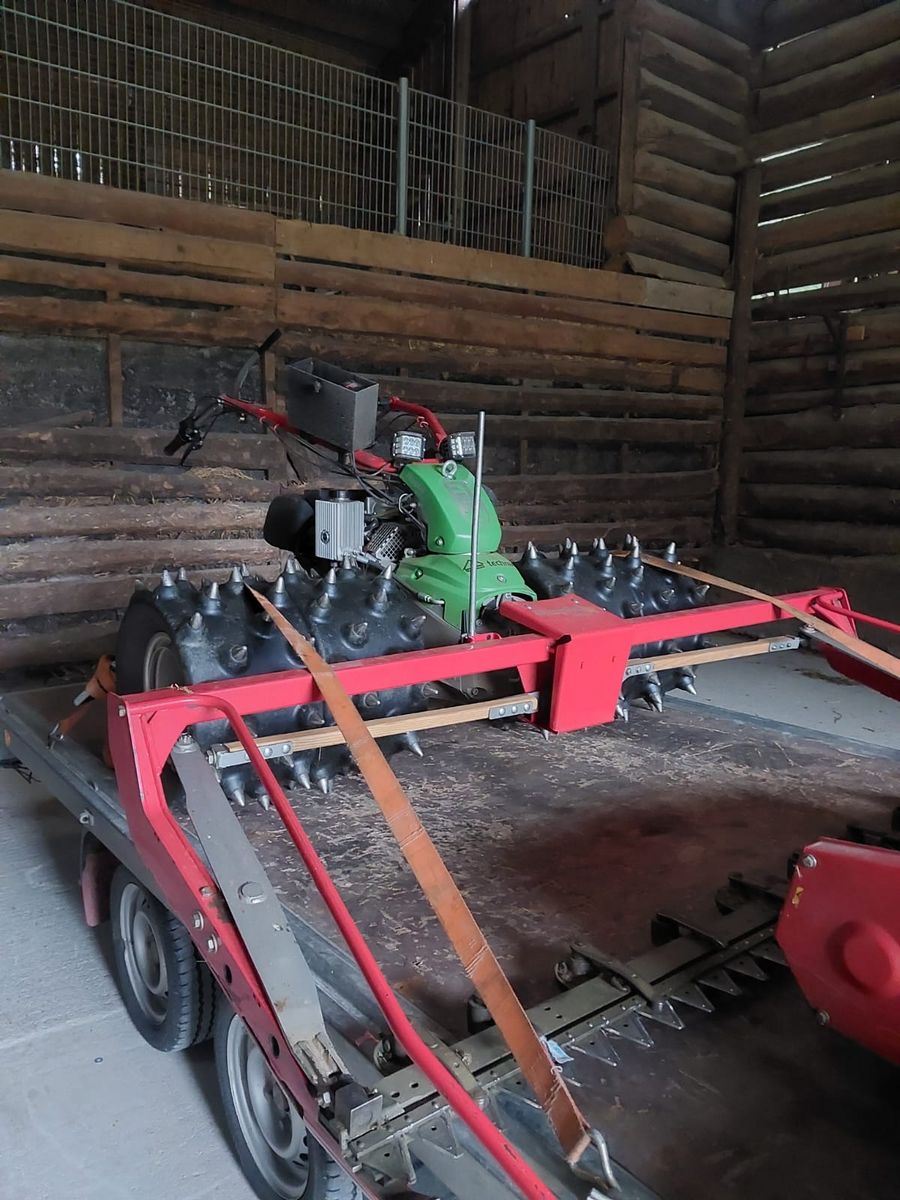 Rapid Motormäher Rapid Varea M231 3