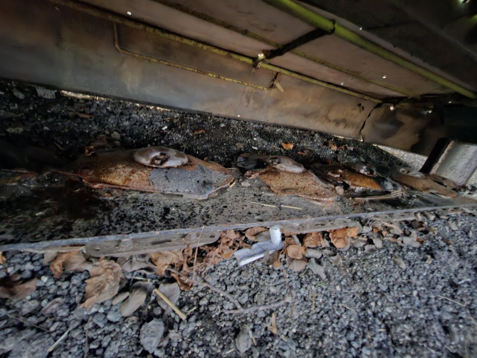 Claas Disco 3200 Contour 3