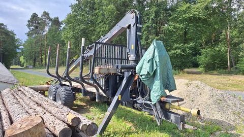 Palms Palms 680 mit 10T