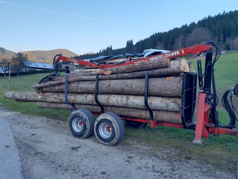 Patu Sehr schöner und wenig gebrauchter Forstanhänger