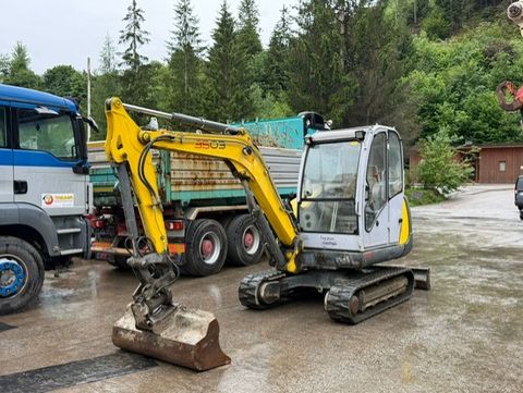 Wacker 3503