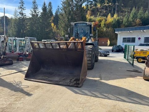 Liebherr L550