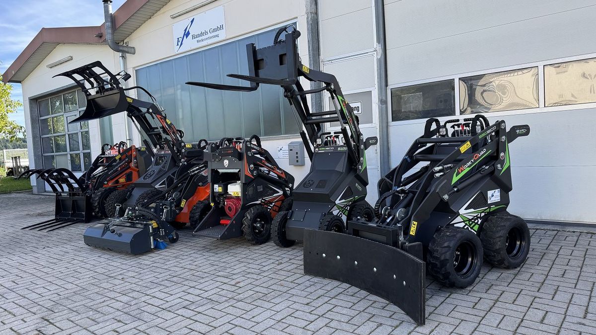 Cast WorkyQuad SSQ 11 Minilader Hoflader Skidlader 2