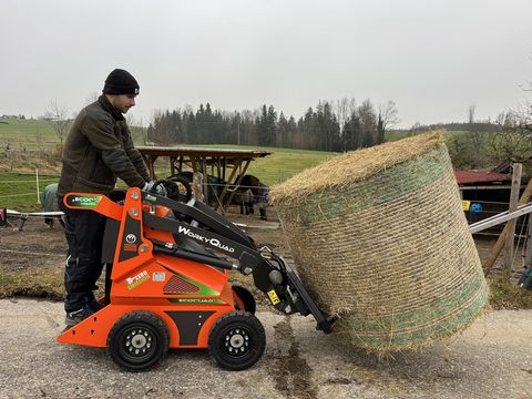 Cast WorkyQuad SSQ Eco Elektrolader Minilader Kompakt