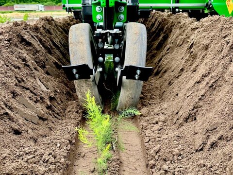 Sfoggia STP Spargelpflanzmaschine 2