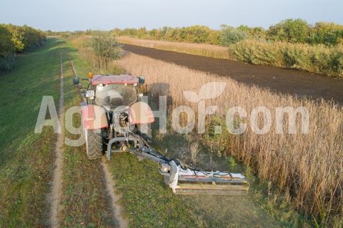 Aardenburg Beta XL 2400 Grizzly / Böschungsmulcher 240 cm