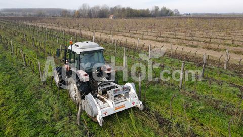 Aardenburg Pick-up- Mulcher 180 cm mit 1 Rotor