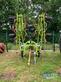 Claas VOLTO 900