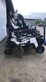 Sonstige Stripcat II