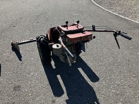 Aebi AM 41 Eingrasmäher 