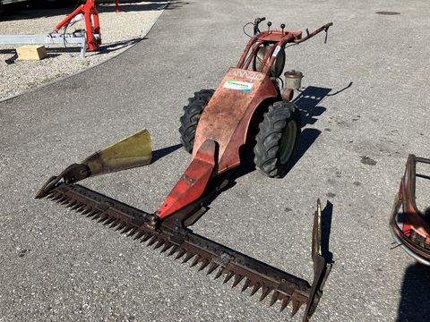 Aebi AM 41 Eingrasmäher 