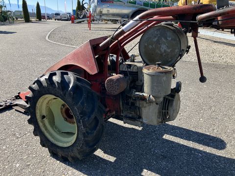 Aebi AM 41 Eingrasmäher 