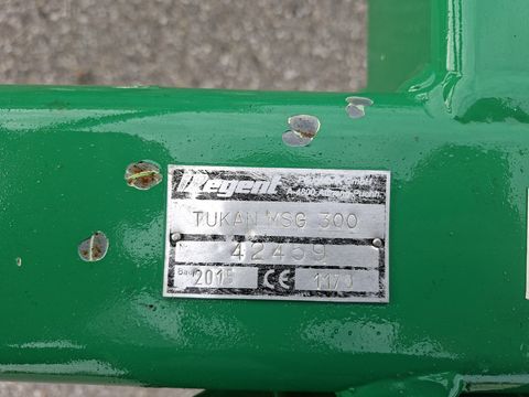 Regent MSG 300 mit Stabwalze