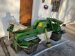 Krone EasyCut 28 (EC 28)