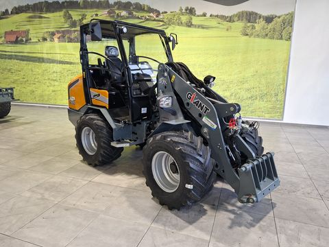 Giant G3500 (mit WM-Aufnahme)