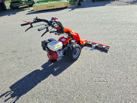 Reform CM 818D