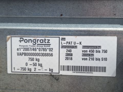 Pongratz L-PAT 250/13 U-K