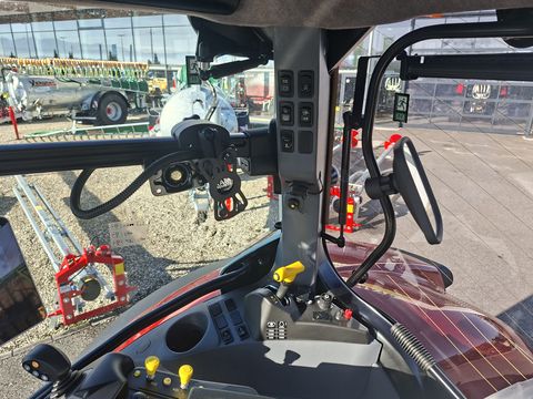 Steyr 6175 Impuls CVT