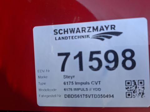 Steyr 6175 Impuls CVT