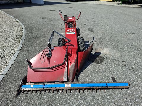 Aebi AM 41 Eingrasmäher