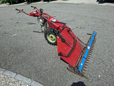 Aebi AM 41 Eingrasmäher