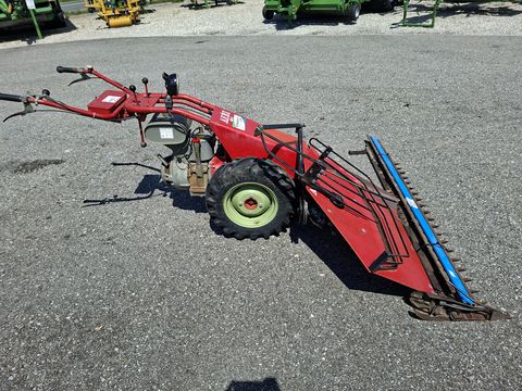 Aebi AM 41 Eingrasmäher