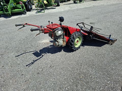 Aebi AM 41 Eingrasmäher