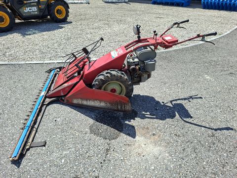 Aebi AM 41 Eingrasmäher