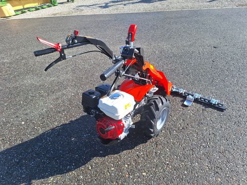 Reform CM 818D 