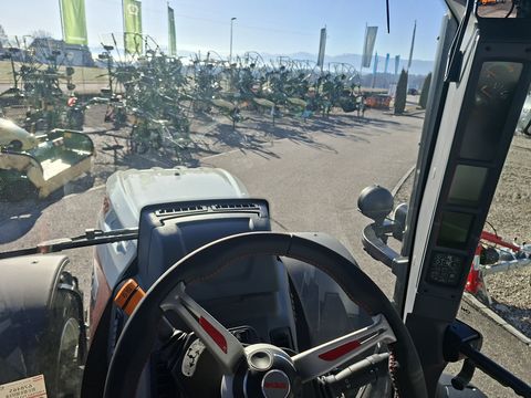 Steyr 6175 Impuls CVT