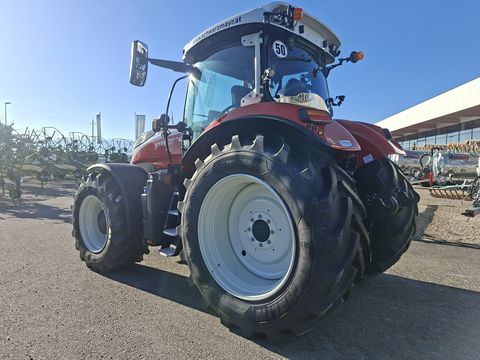 Steyr 6175 Impuls CVT