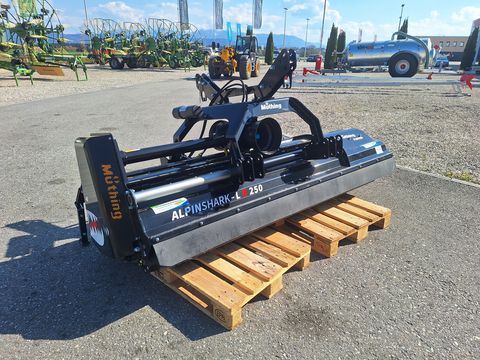 Müthing MU-ALPIN 250 SHARK