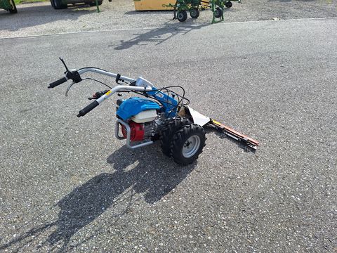 6497-a64396548d2640590de99e33989c25f3-5704271